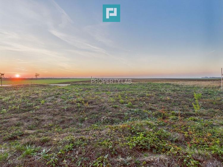 Proprietate impresionantă între Curtici și Macea - 17