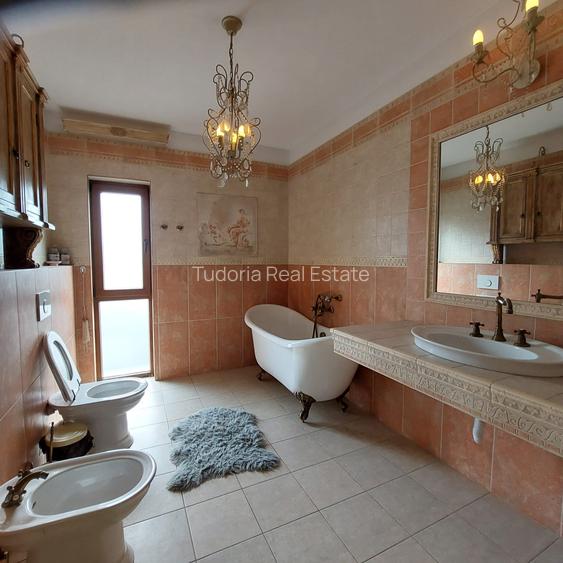 Casa individuala, 200 mp, teren 500 mp, Gruia-Taietura Turcului! - 17