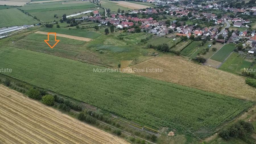 Posibilitate RATE | Teren Bod | curti constructii | utilitati | PUZ, - 9