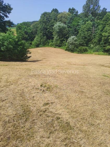 Teren intra si extravilan in Vad, Copalnic-Mănăștur, Maramures - 6