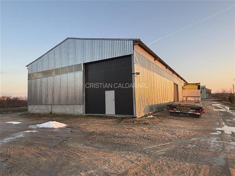 Vanzare depozit/hala/spatiu industrial Chiajna - Ciorogarla - A0 - A1 - Bolintin - 3