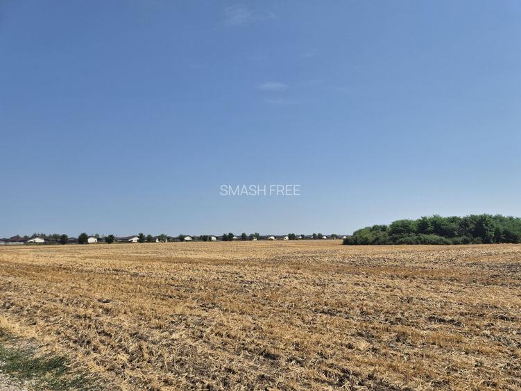 Teren intravilan 4428 mp - Balotesti - 5