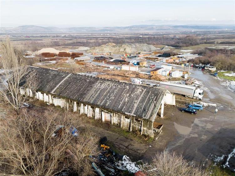 RECO . Proprietate industriala Tileagd . - 11