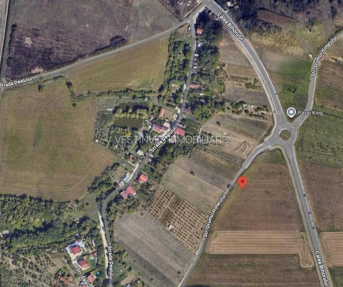 Teren Extravilan Episcopia - 3