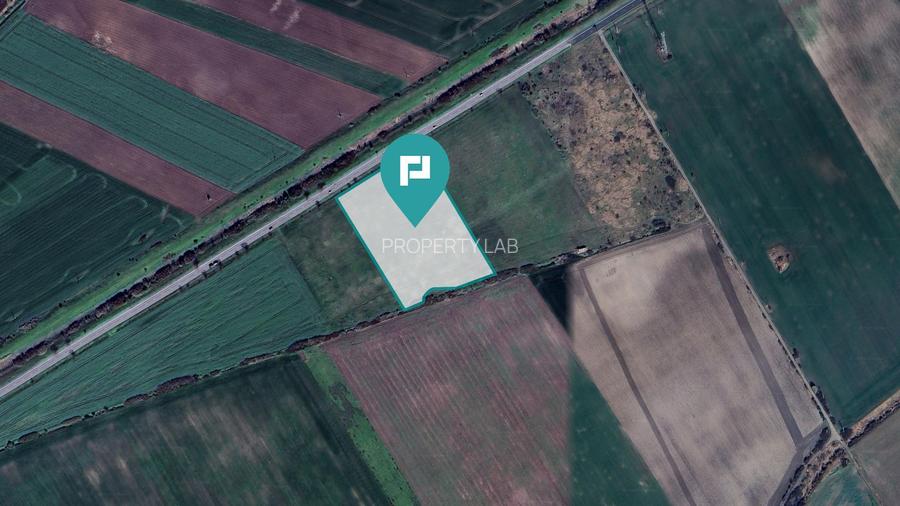 Teren 22.500 mp – Pecica, jud. Arad - 10