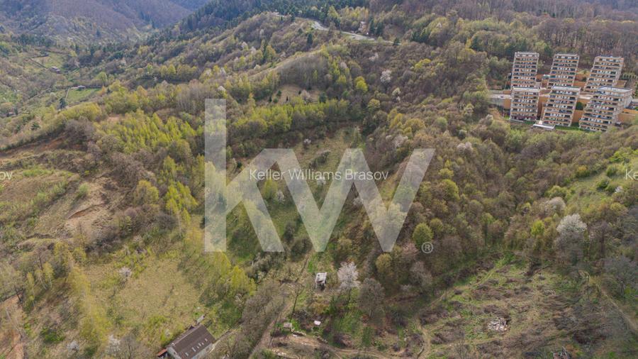 Teren Drumul Poienii - Seasons Residence - 9