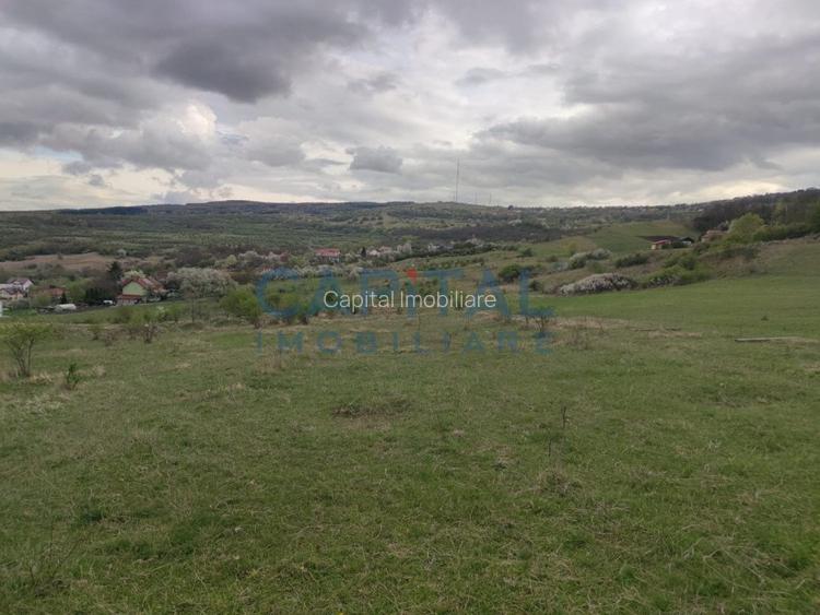 Comision 0! teren intravilan 5500mp, utilitati,  zona, strazii Veseliei Borhanci - 5