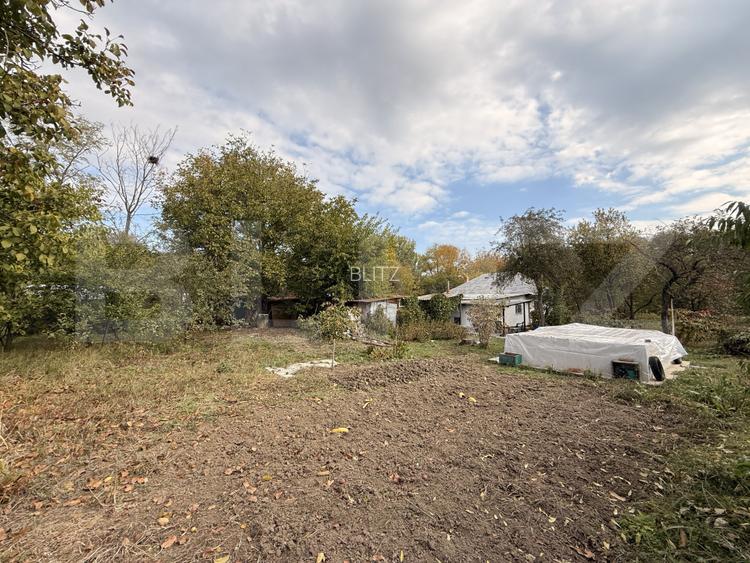 Teren EV si IV cu casa, 29.600 mp, utilitati si acces facil, Albesti - 10