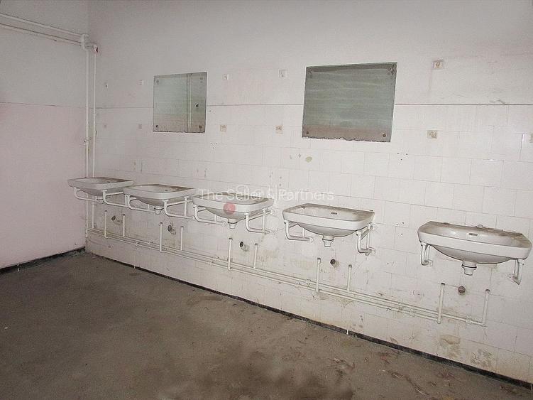 Diverse activitati comerciale si office - 11