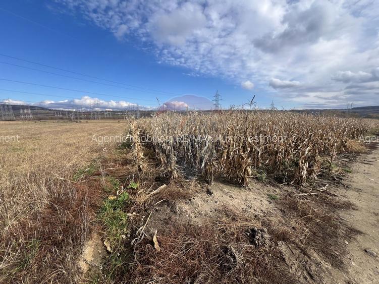 Oportunitate Investiție I Teren  2800MP I Selimbar - Sibiu - 3