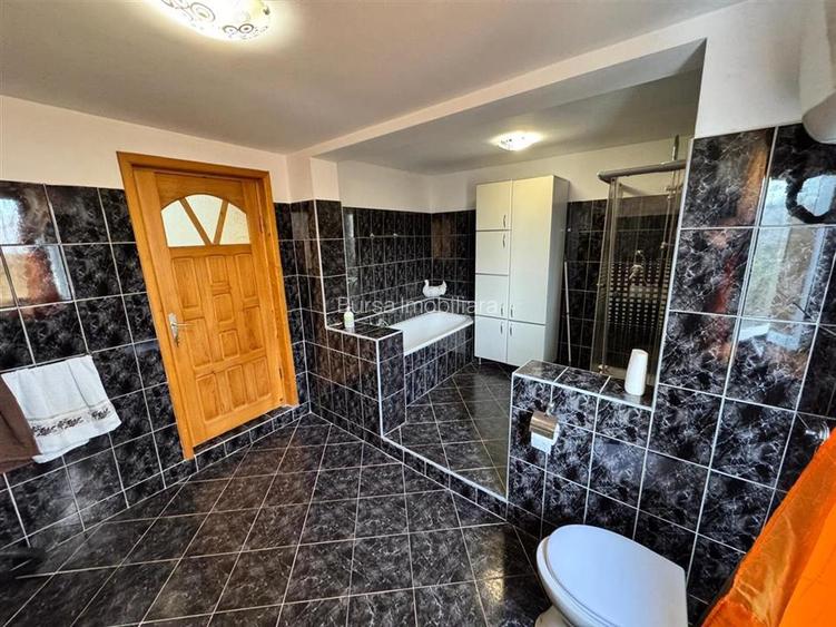 CASA DE VANZARE PANCIU - 18