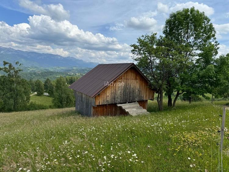 Teren inconjurat de natura de vanzare in Pestera - 9