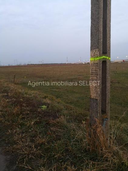 Teren Sanpetru 6300 mp Ocolitoare, posibilitate rate - 3