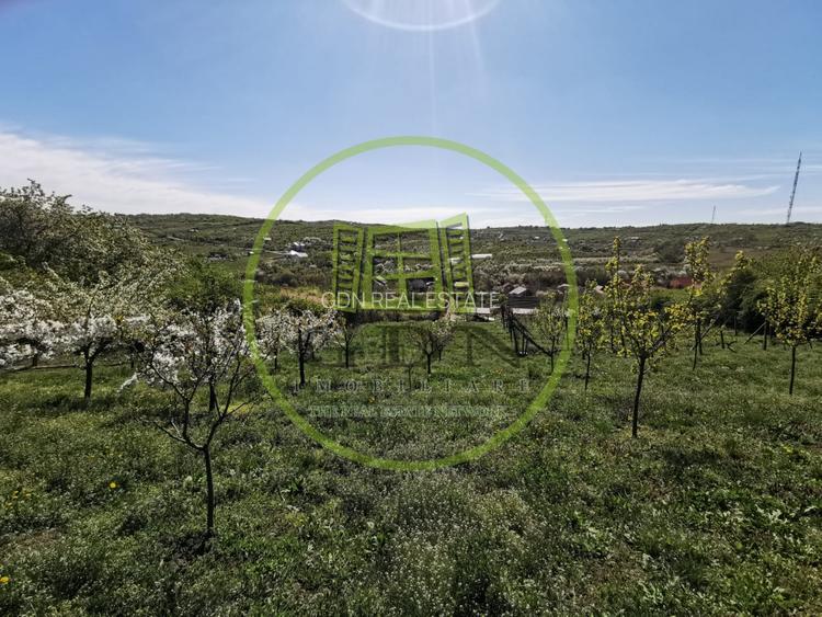 Teren intravilan si extravilan cu anexa gospodareasca amenajata, cu utilitati - 7