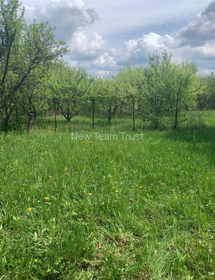 Statiunea  Breaza  Vanzare Vila(Pensiune)+10 camere - 6