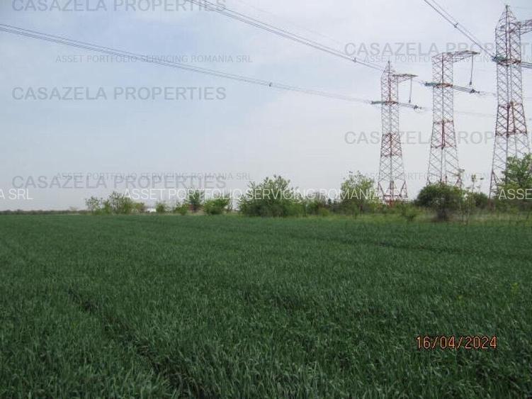 Teren extravilan, com. Frumusani, Calarasi - 2