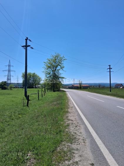 INTRAVILAN DE VÂNZARE | TISMANA, GORJ - 4