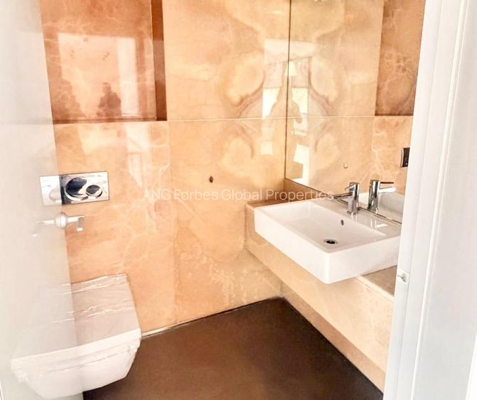 Duplex deosebit inchiriere 150mp  Parc Floreasca - 5
