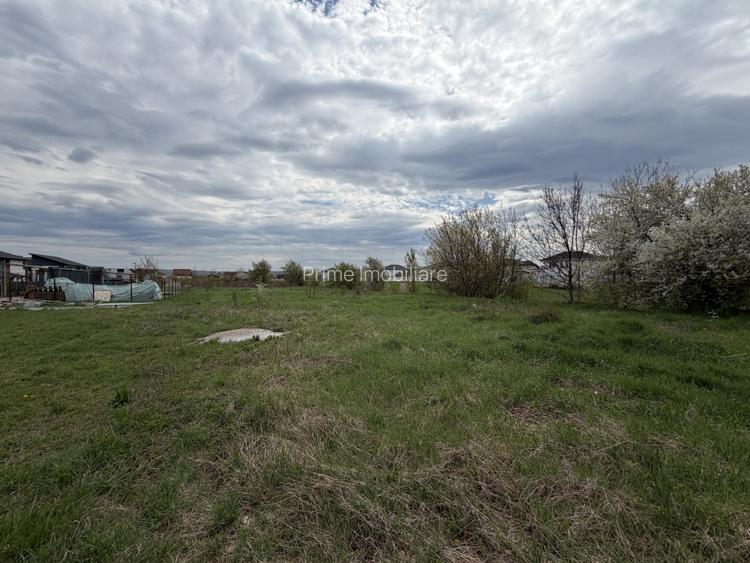 Teren Intravilan 410 mp | Toate utilitățile | Zona Cetate-Brândușei | - 3