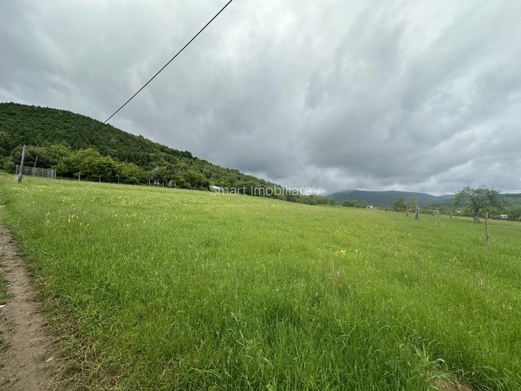 Teren cu priveliste deosebita, 2000mp in Fantanele - 2