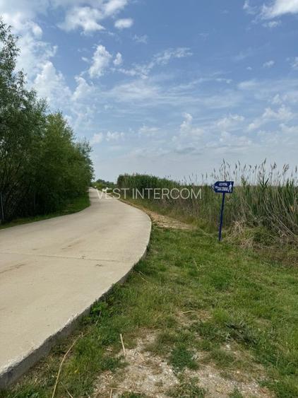 Teren intravilan Comana - 3