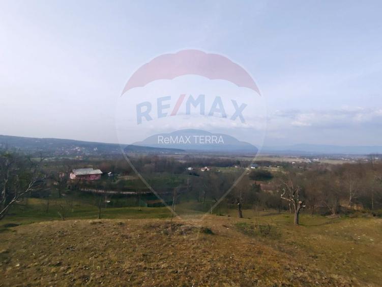 Teren intravilan generos 3.206 mp în Remecioara | Priveliște deosebită - 2
