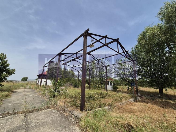 De vanzare teren industrial in Calarasi/Belciugatele - 13