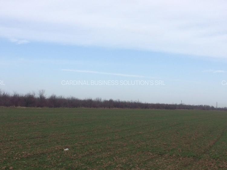 Strategic Development Land – 37 ha Intravilan | Bucharest South Area - 5