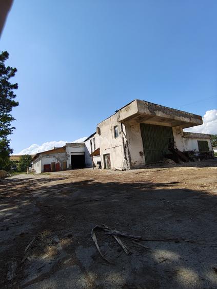 Teren+Hala Soseaua Bacaului-Vaslui 22.000mp - 8