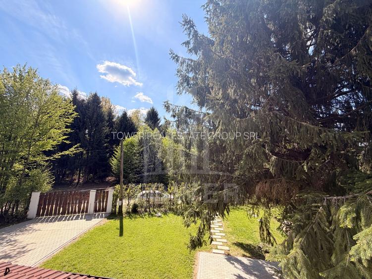 Casă de vacanță noua-Valea Avrigului - 27