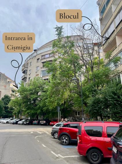 Apartament 2 camere | Ultracentral | Prima închiriere | Pet Friendly - 16