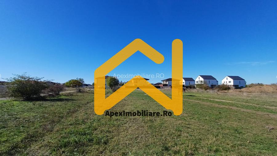 Corbeanca - Tamasi | Teren 1225mp, deschidere 44ml | Utilitati la 50m - 7