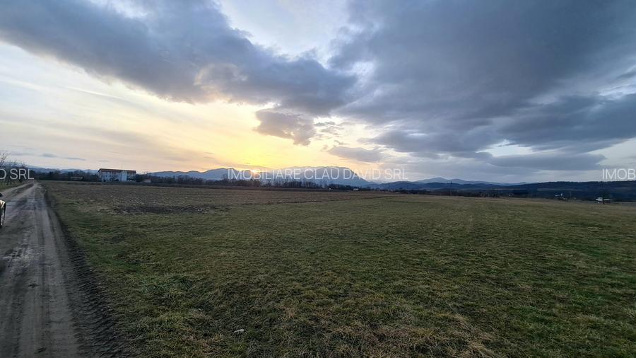 TEREN 5000  mp EXTRAVILAN LANGA SENS GIRATORIU RASNOV - PANICEL - 4