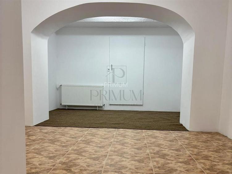 Spatiu comercial de inchiriat acces stradal - Sagului - 4