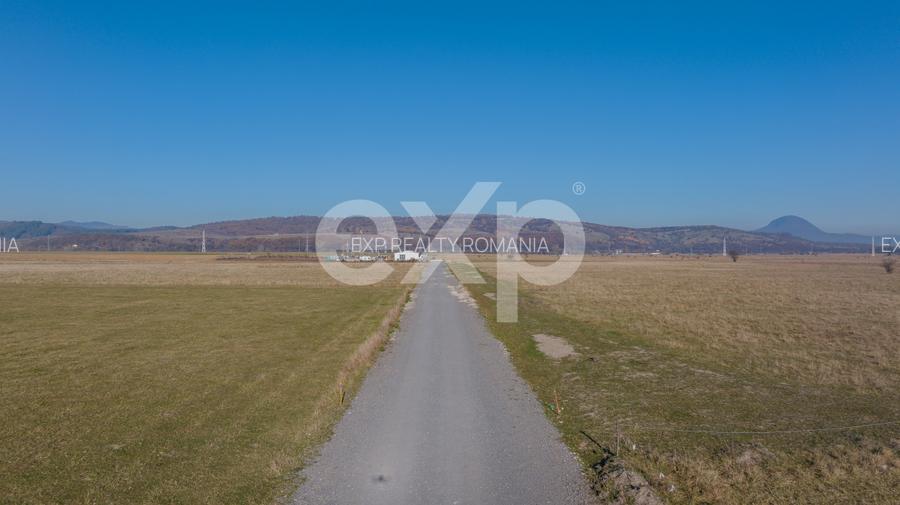 Teren 11.600 mp – Rasnov, zona Tabara, 230 m de DN 73 - 4