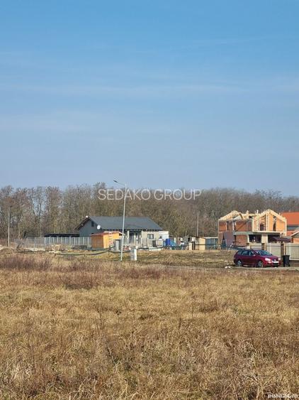 Teren de vanzare, Ghiroda, zona padurii Bistra - 9