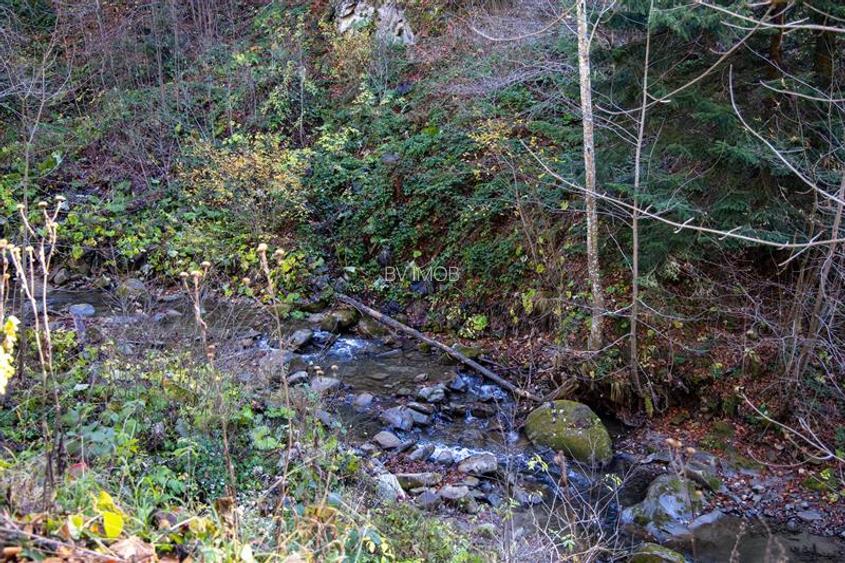 Teren de Vis langa Siriu  – 20000 mp ideal pentru Complex turistic Comision 0% - 23