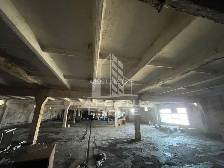 Hala P+E1 3000 mp utili, teren 2788, Dumbravita - 4