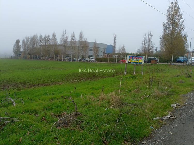 Lumina  teren 10000 mp - 5