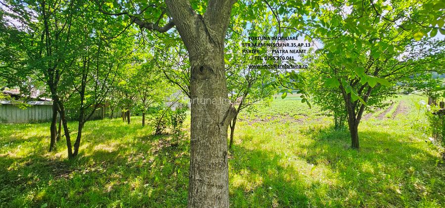 Proprietate com.Bodesti, casa+ anexe + teren 7481 mp - 5