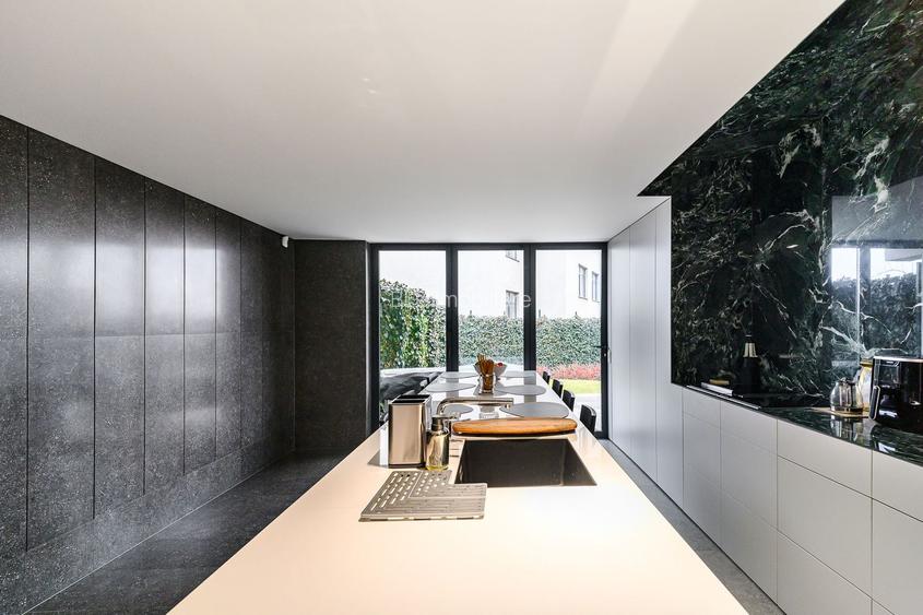 Duplex FINISAT 145MP Andrei Muresanu - 2