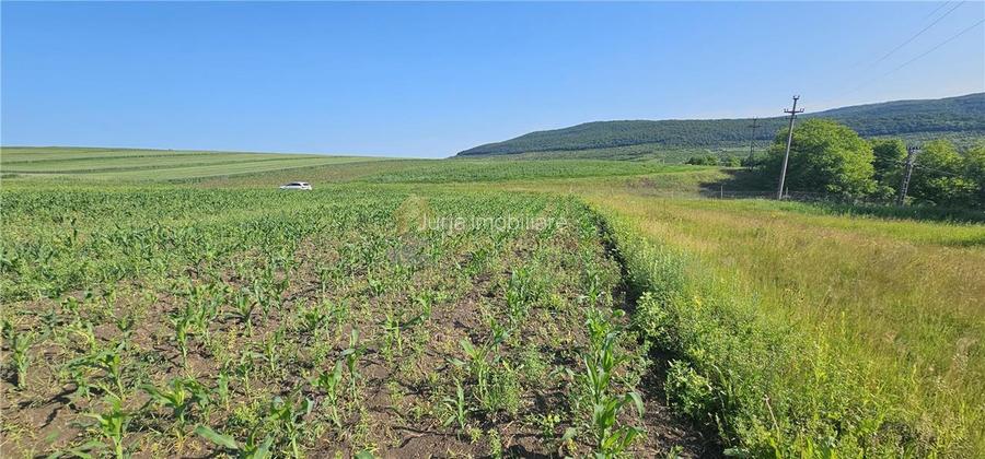 TEREN INTRAVILAN 5800 MP SUCEAGU - 4