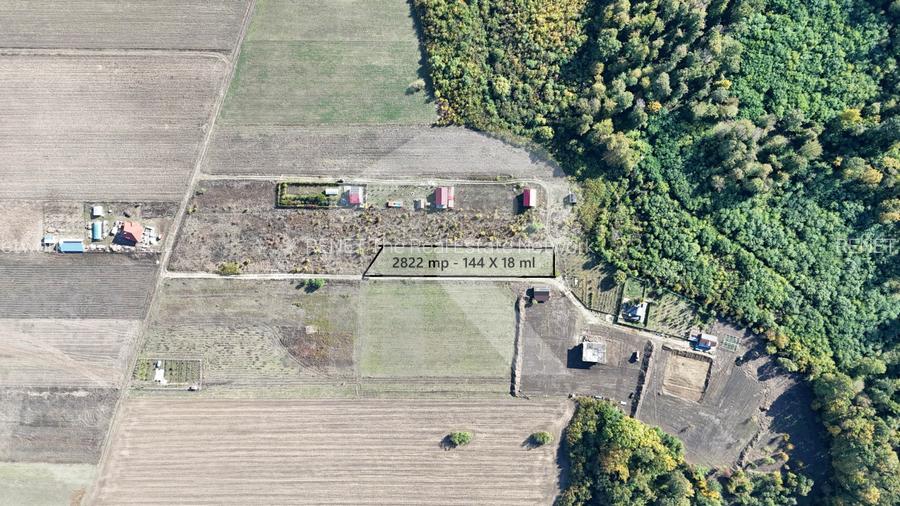 Refugiu la marginea padurii — 2822 mp de liniste in Cocani. - 5