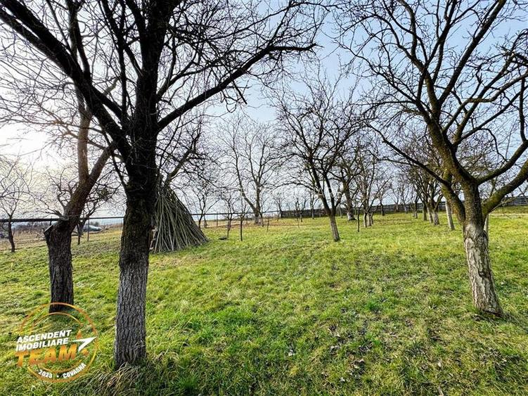 FILM! 5.000mp teren intravilan cu casuta rustica, Dalnic, Covasna - 4