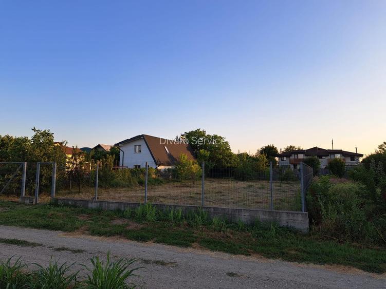 Vanzare teren intravilan imprejmuit 800mp Buftea - 8