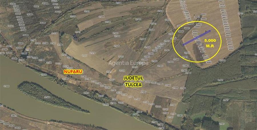 Teren agricol de vanzare Nufaru - 2