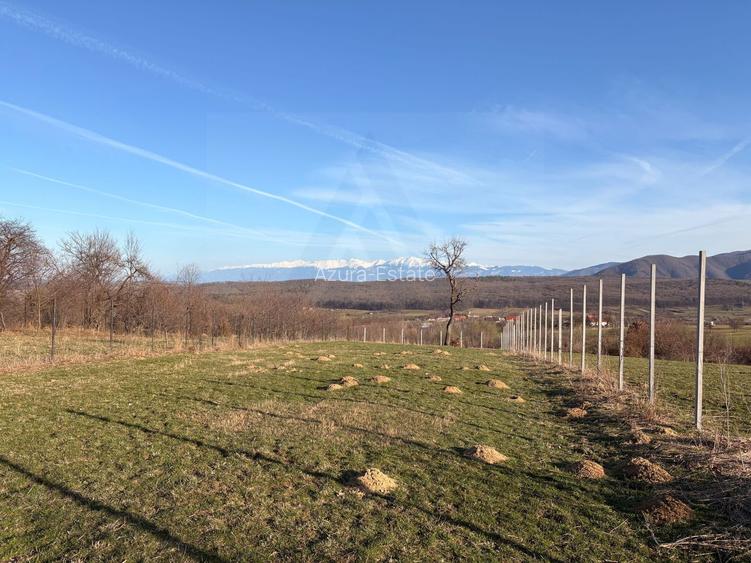 Teren intravilan 809 mp de vânzare – Tropinii Noi-Sibiu - 5