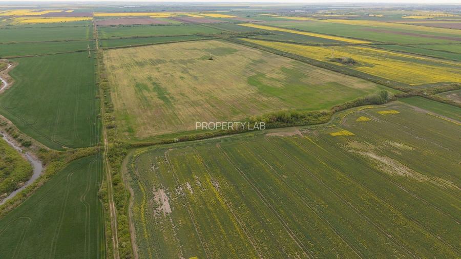 Teren investițional strategic 44.700 mp Arad Vest - 19