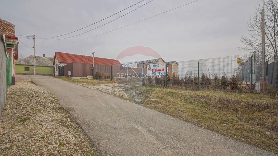 COMISION 0% Casă Individuala La Rosu cu teren de 4000 mp in Crizbav - 12