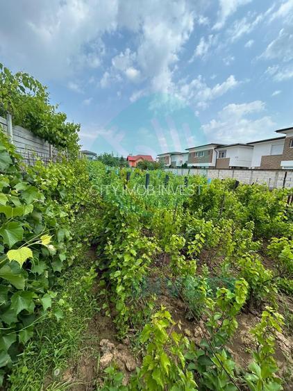 Teren cu utilități,  zonă în dezvoltare – Popești - 5